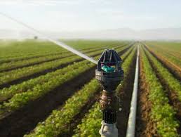 Nelson Sprinklers in the field